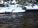 Change of Seasons